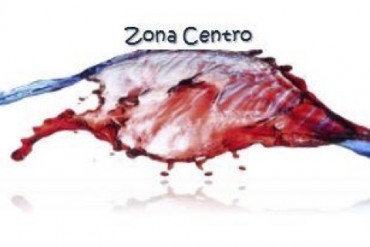 logo zona centro.jpg